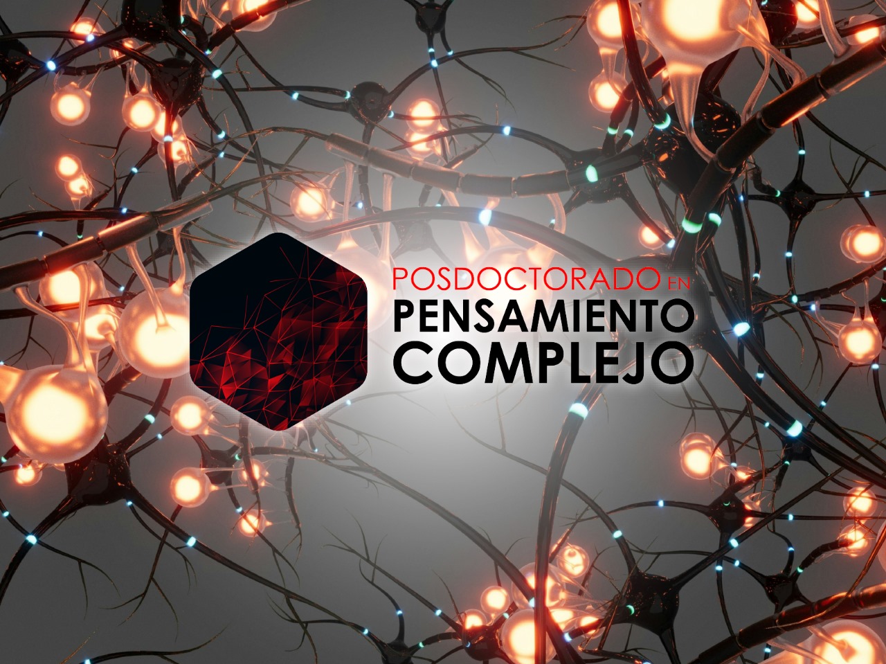 Posdoctorado en Pensamiento Complejo
